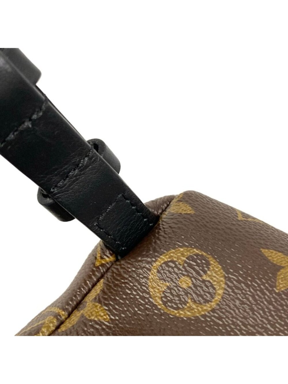 Louis Vuitton Backpack Monogram Reverse Palm Springs PM Leather - Picture 12 of 15